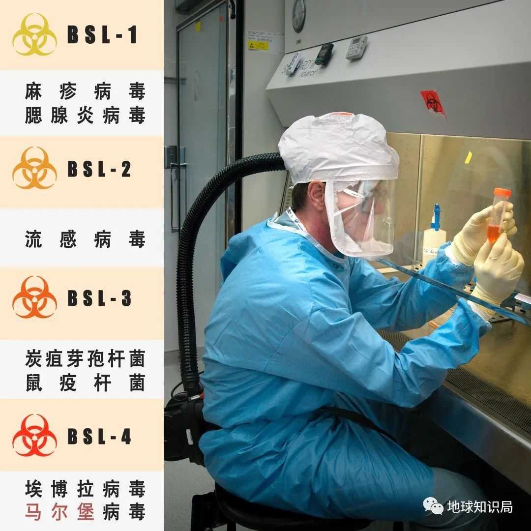 和天花病毒、埃博拉病毒是同等危險級別的