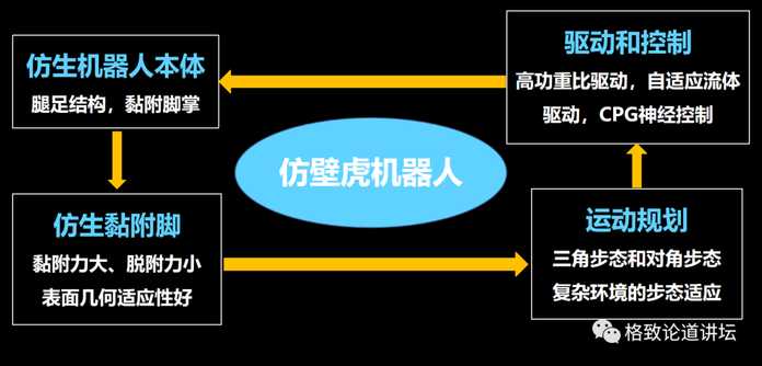 仿壁虎機器人涉及到好幾個方面的問題