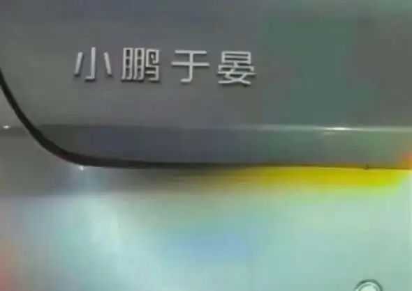 頭頂的福字充滿靈性