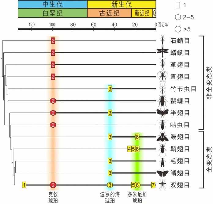 索線蟲寄生昆蟲的化石記錄